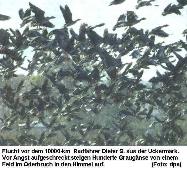 oderbruch.jpg